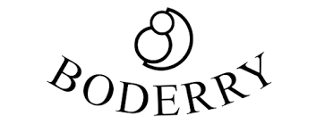 Watch Review: Boderry Sea Turtle Titanium-a Value Driven Proposition